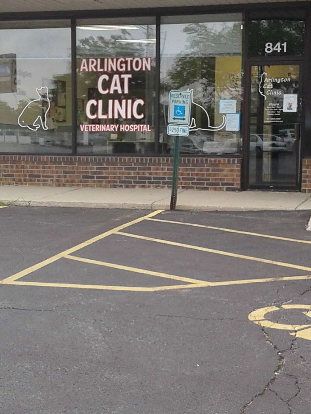 Arlington Cat Clinic | 841 N Wilke Rd, Arlington Heights, IL 60005 | Phone: (847) 398-3355