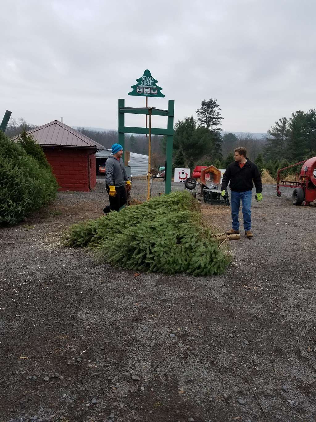 Helen & Eds Tree Farm | 3758 St Marys Rd, Wapwallopen, PA 18660, USA | Phone: (570) 868-6252