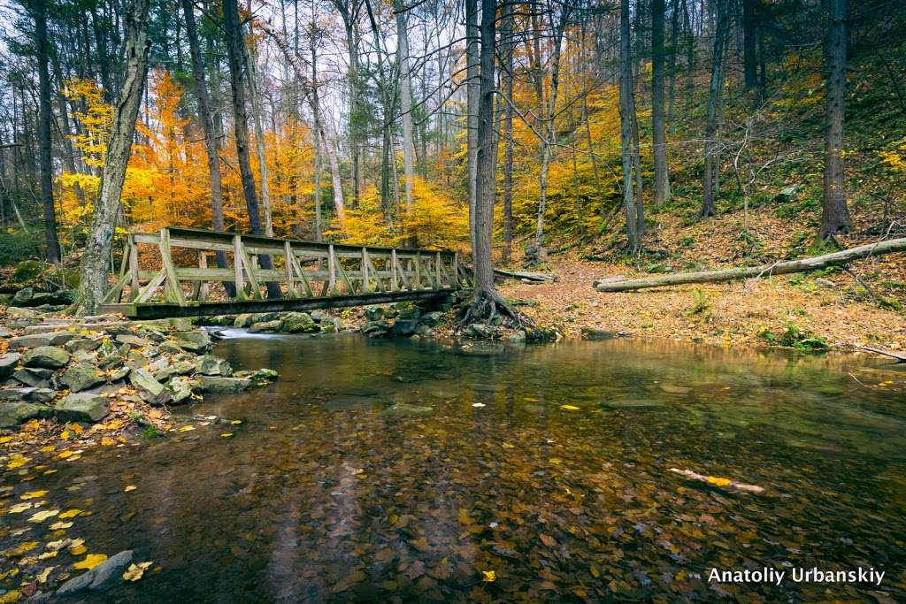 Mt Tammany Red Dot Trail | Kittatinnies Region, Hardwick Township, NJ 07825, USA