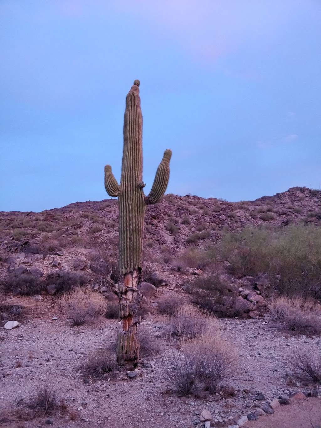 South Mountain Environmental Education Center | 10409 S Central Ave, Phoenix, AZ 85042, USA | Phone: (623) 334-7880