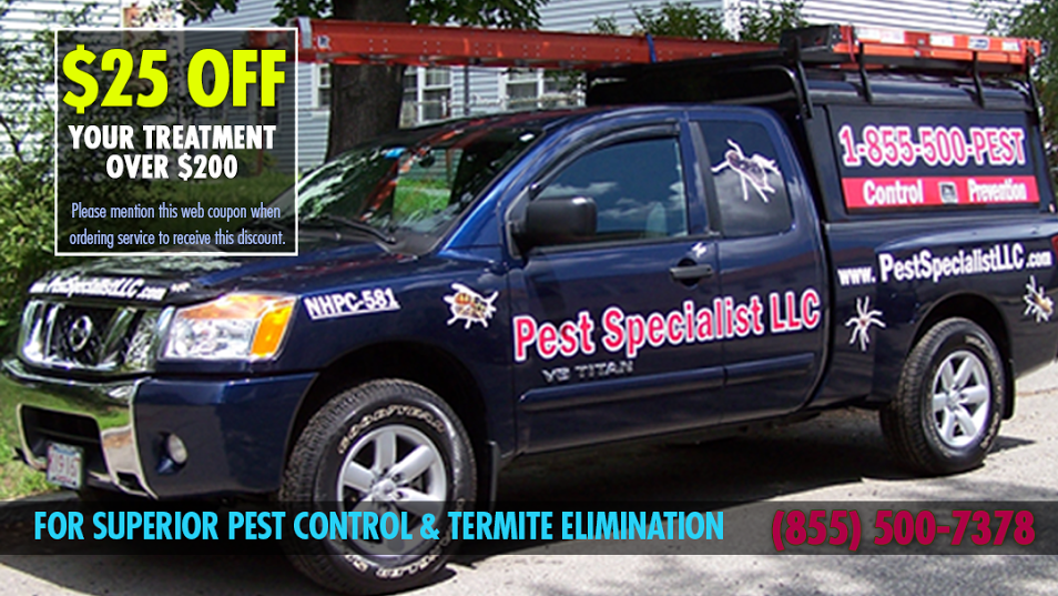 Pest Specialist LLC | 117 Chester St, Lawrence, MA 01843, USA | Phone: (978) 697-1101