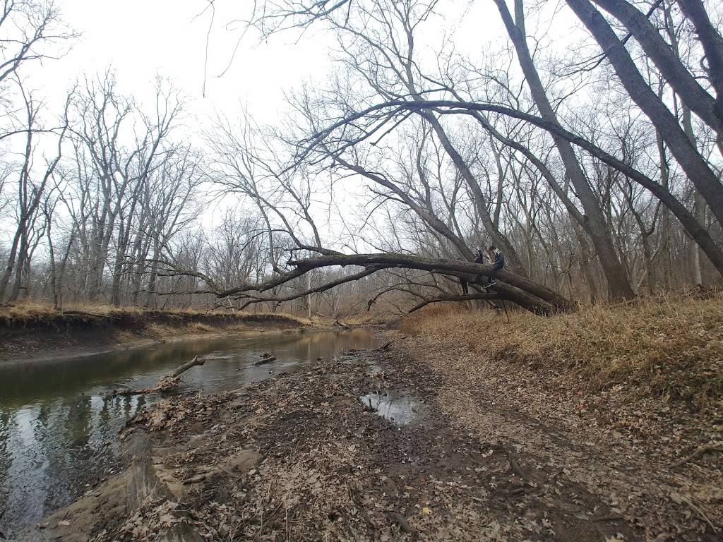 Merwin Nature Preserve | 25777 N 1925 East Rd, Lexington, IL 61753, USA