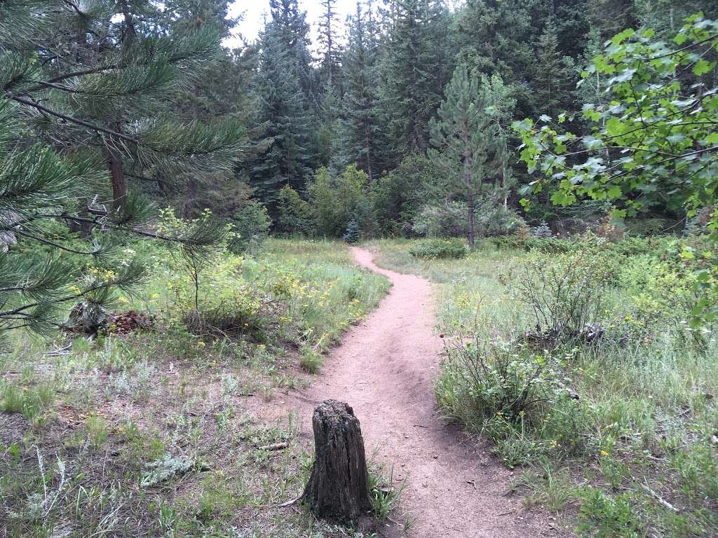 Forsythe Canyon Trailhead | Forest Service Rd 359, Nederland, CO 80466, USA