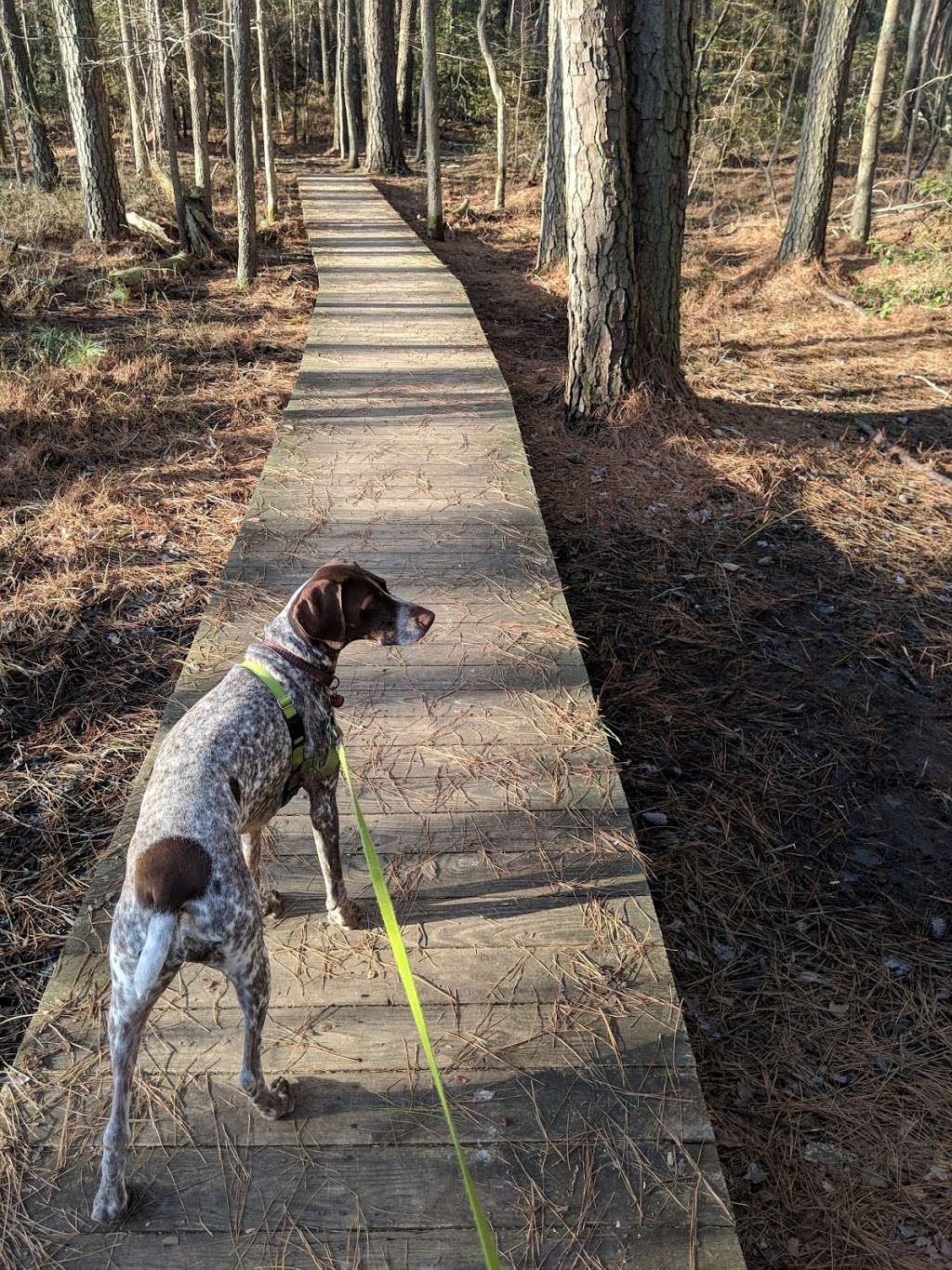 Hughlett Point Natural Area Preserve | Kilmarnock, VA 22482, USA | Phone: (804) 786-7951