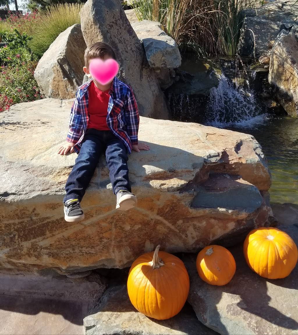 Phillips Farms in Lodi, CA 95242, USA