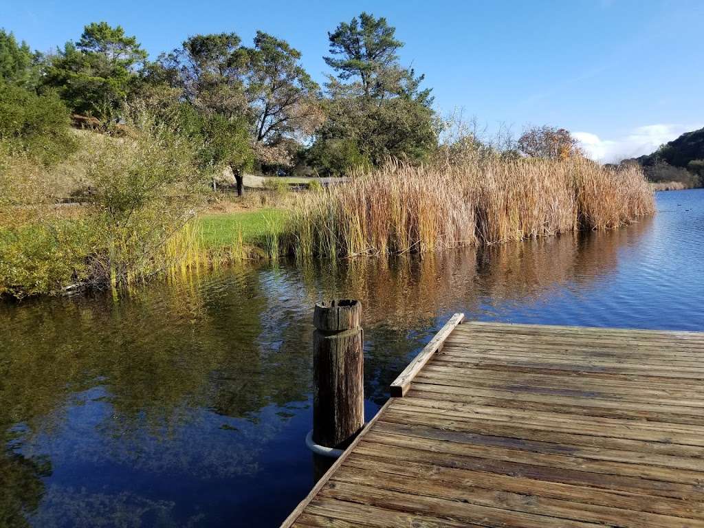 Foothills Park Nature Interpretive Center | 3300 Page Mill Rd, Palo Alto, CA 94304, USA | Phone: (650) 329-2423