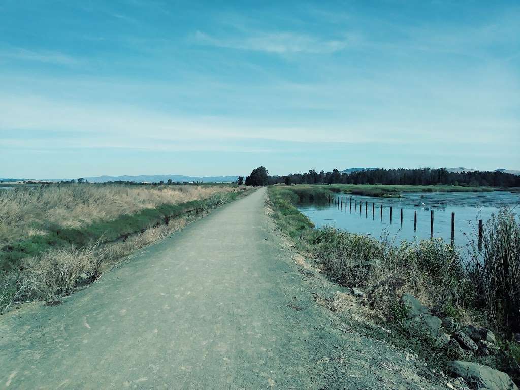 Wetlands Edge Park | 2 Eucalyptus Dr, American Canyon, CA 94503, USA