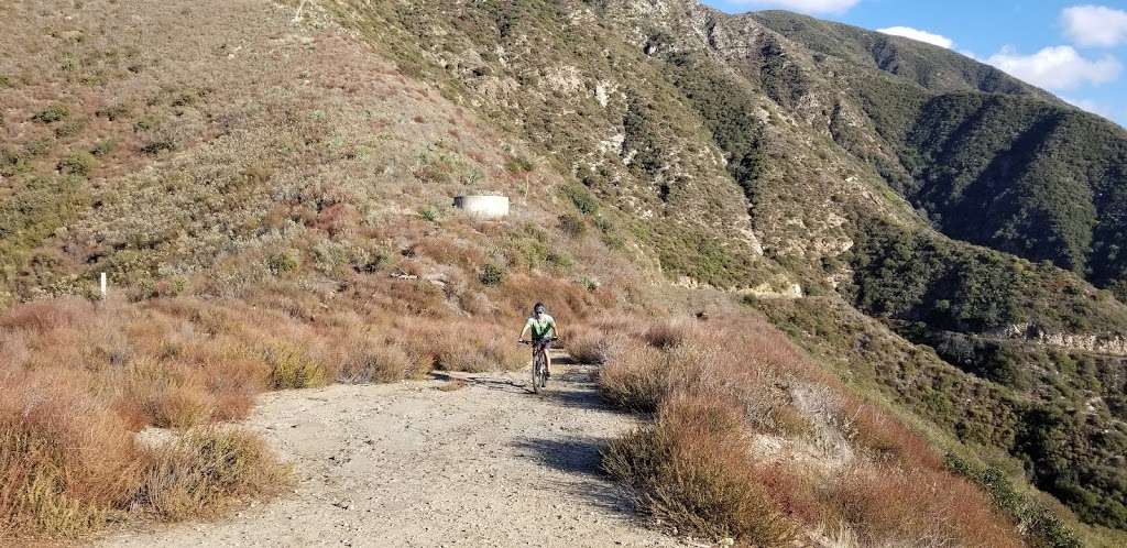 Ken Burton Trail | Brown Mountain Rd, Altadena, CA 91001