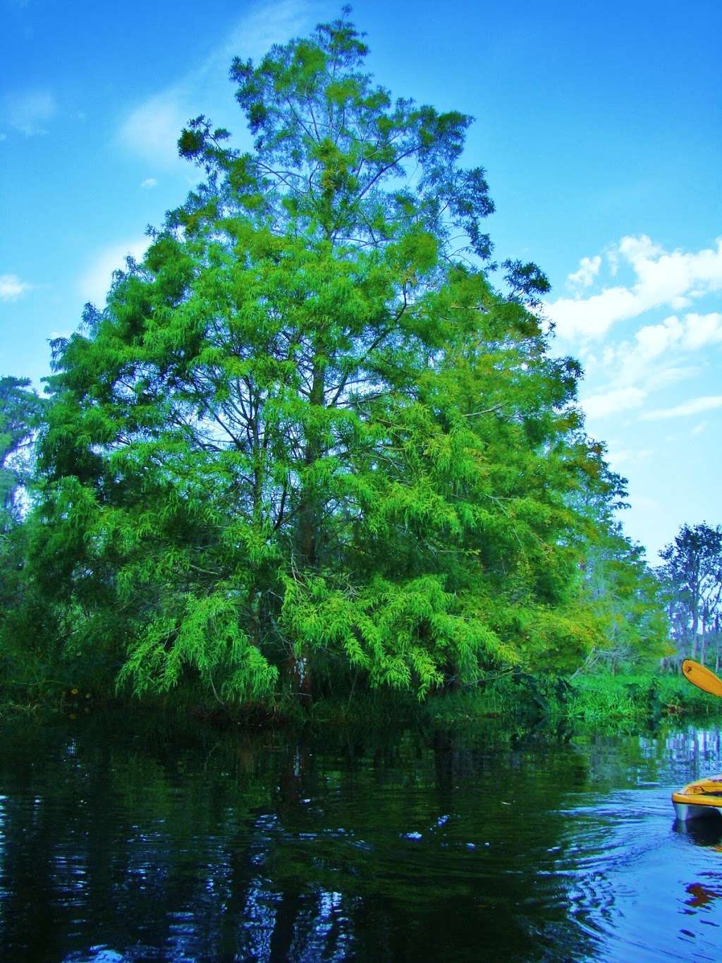 Lake County Parks & Trails | 12929 County Landfill Rd, Tavares, FL 32778, USA | Phone: (352) 253-4950
