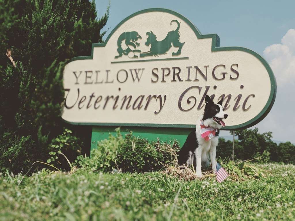 Yellow Springs Veterinary Clinic | 25 Thomas Johnson Dr, Frederick, MD 21702, USA | Phone: (301) 663-8353