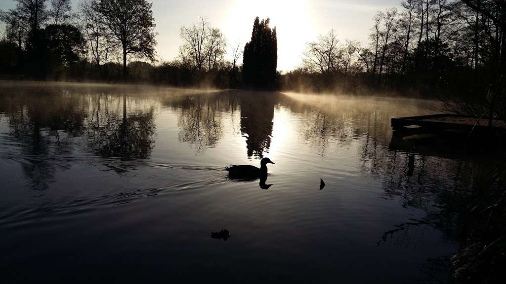 Henfold Lakes Fishery and Caravan Park | Henfold Lane, Beare Green, Dorking RH5 4RW, UK | Phone: 01306 883346