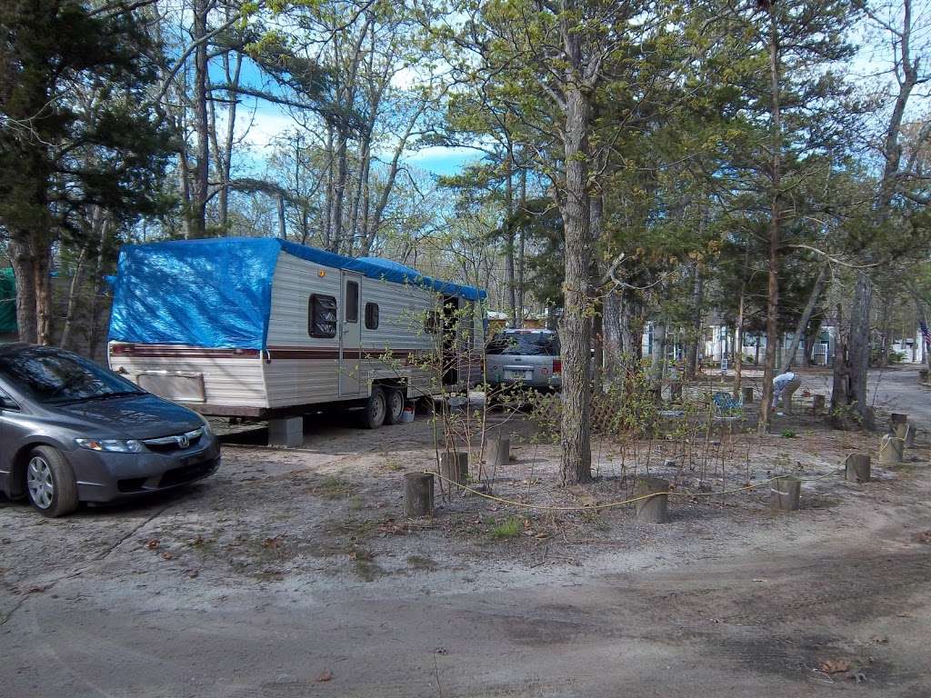 Echo Farms Campground | 3066 U.S. 9, Ocean View, NJ 08230, USA | Phone: (609) 624-3589