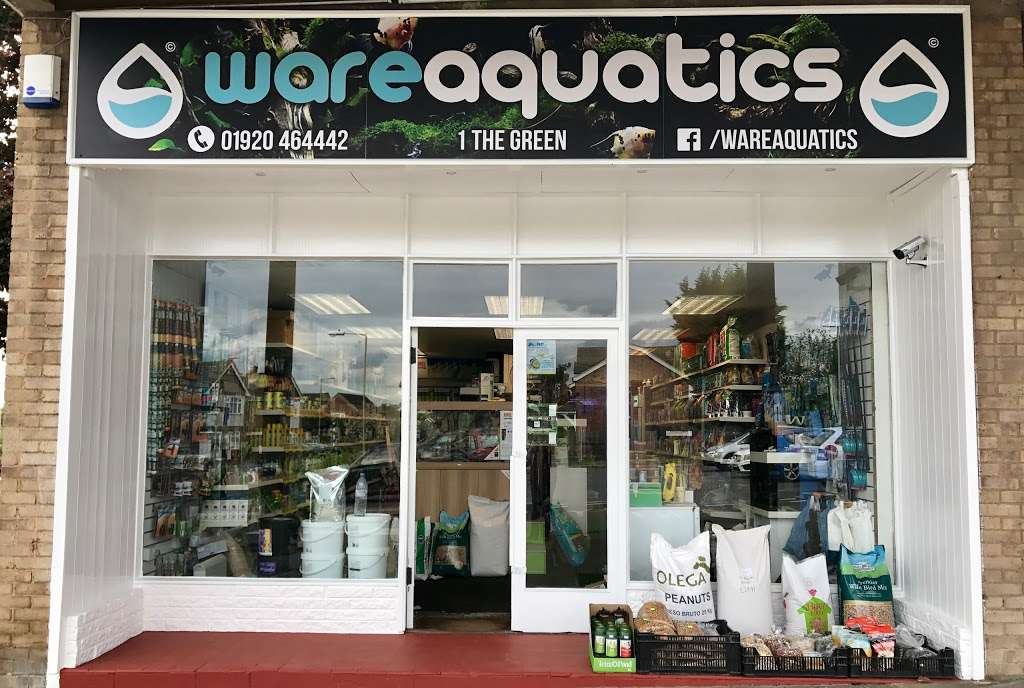 Ware Aquatics | 1 The Green, Ware SG12 0QW, UK | Phone: 01920 464442