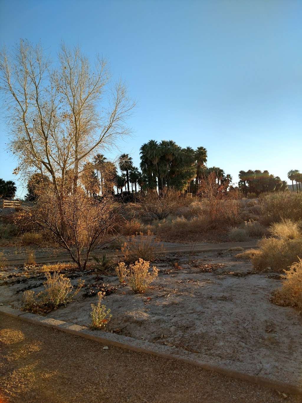 Moapa Valley National Wildlife Refuge Pavilion | Moapa, NV 89025