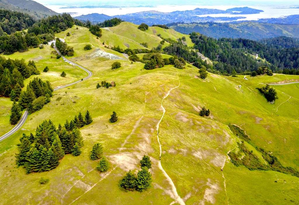 Mount Tamalpais State Park | 3801 Panoramic Hwy, Mill Valley, CA 94941, USA | Phone: (415) 388-2070