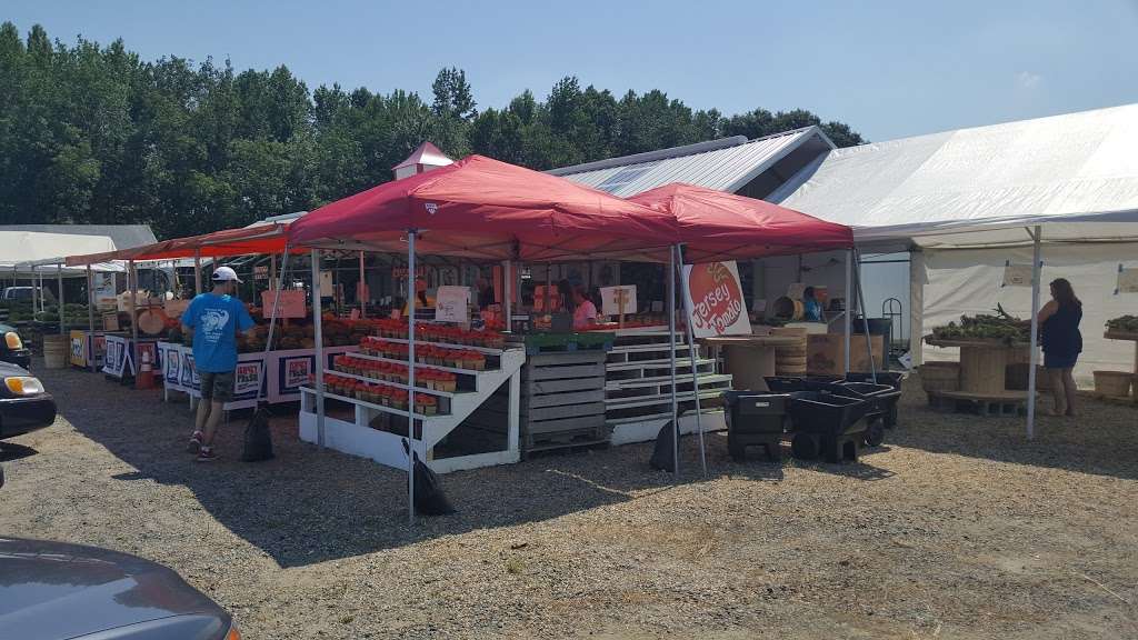 The Corn Stop Farm Market | 2621 US-206, Mt Holly, NJ 08060 | Phone: (609) 227-7863