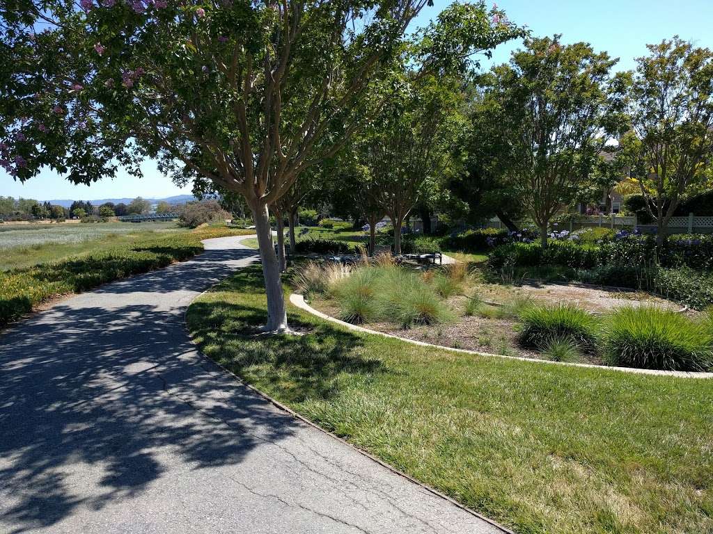 Port Royal Park | Port Royal Ave & Thatcher Lane and Timberhead, Foster City, CA 94404, USA | Phone: (650) 286-3380