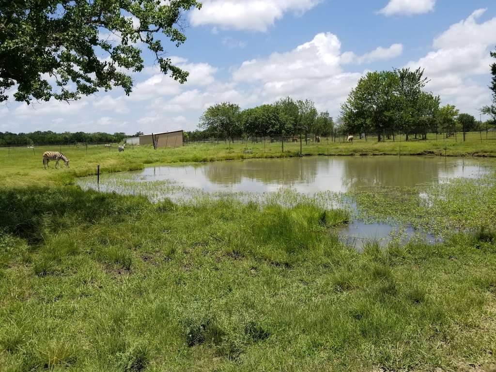 Bayou Wildlife Zoo | 5050 FM517, Dickinson, TX 77539, USA | Phone: (281) 337-6376
