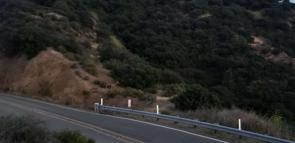 David M Brown Overlook | 24930, 25192 Piuma Rd, Calabasas, CA 91302, USA