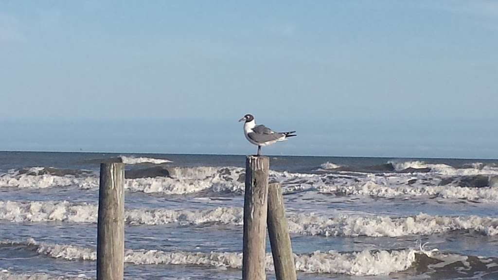 Public Beach Access (with beach parking) #16 | 4245 13 Mile Rd, Galveston, TX 77554, USA