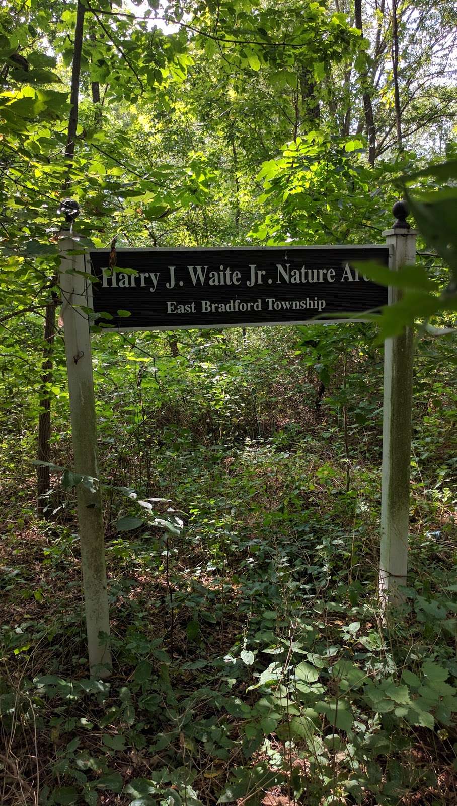 Henry Waite Nature Area | 190 N Creek Rd, West Chester, PA 19382 | Phone: (610) 436-5108 ext. 108