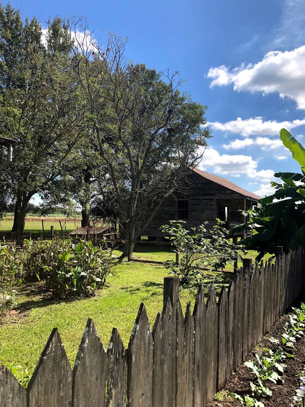 Old River Road Plantation Adventure | 2041 Canal St, New Orleans, LA 70112, USA | Phone: (866) 671-8687