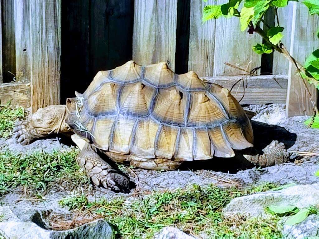 Tibet-Butler Nature Preserve | 8777 Winter Garden Vineland Rd, Orlando, FL 32836 | Phone: (407) 254-1940