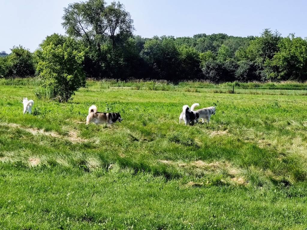 Capital Springs Dog Exercise Area | 3398 Lake Farm Rd, Madison, WI 53711, USA | Phone: (608) 224-3730