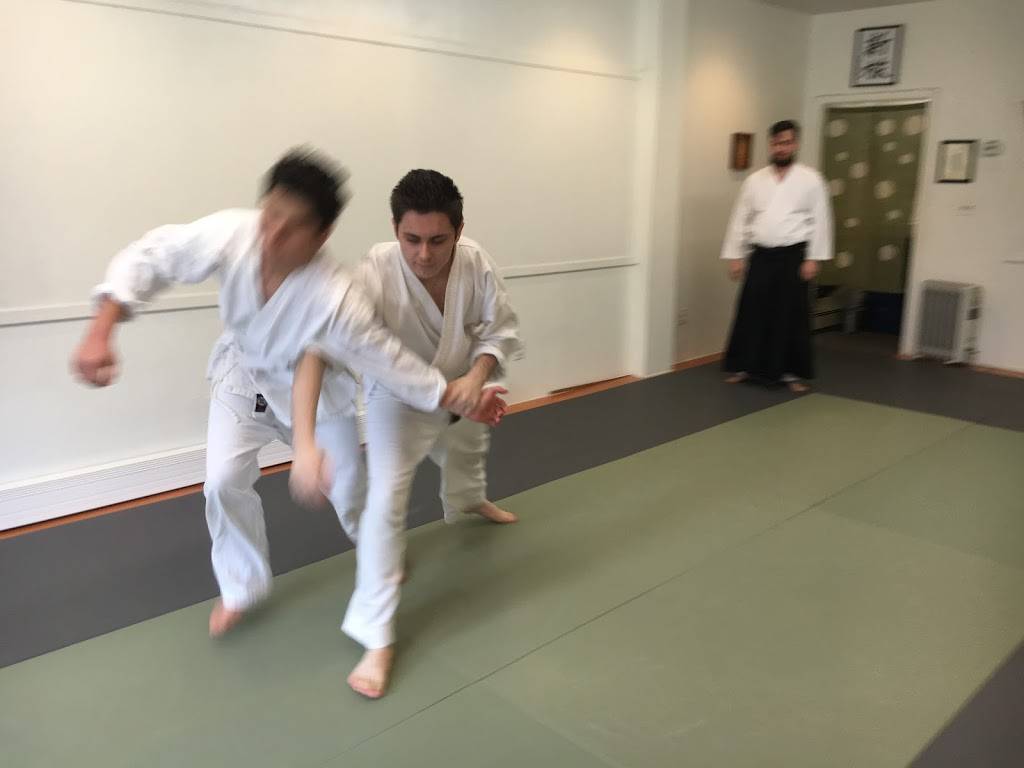 Aikido of South Brooklyn | 205 Columbia St, Brooklyn, NY 11231, USA | Phone: (718) 612-6334