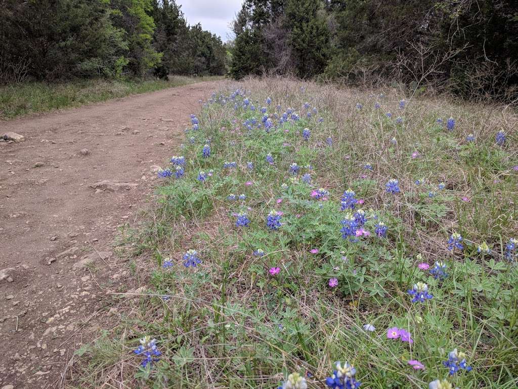 Backcountry Trailhead | Joe Johnson Rte, Helotes, TX 78023 | Phone: (210) 688-9055