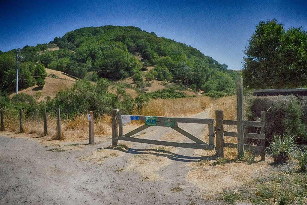 Terra Linda-Sleepy Hollow Divide Northern Preserve | San Rafael, CA 94903, USA Terra Linda-Sleepy Hollow Divide Northern Preserve | San Rafael, CA 94903, USA