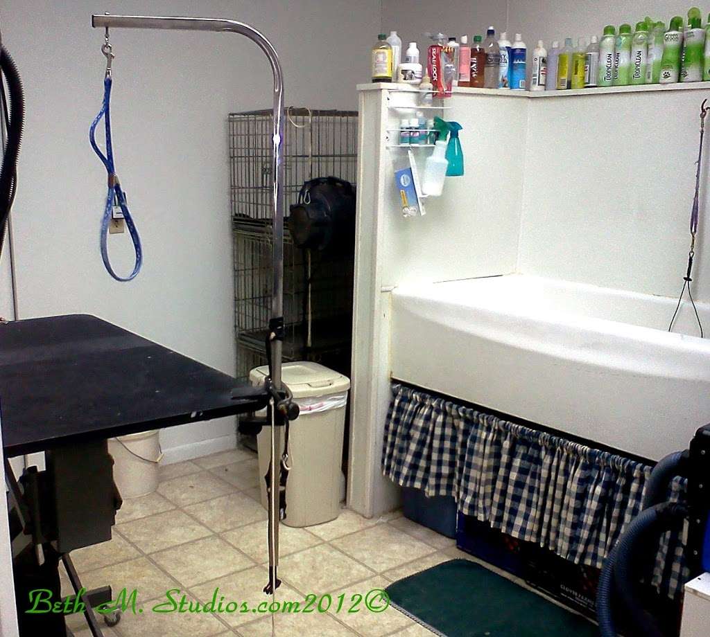 Good Dogs Spa & Studio | 939 E Schuylkill Rd, Pottstown, PA 19465, USA | Phone: (610) 323-1778