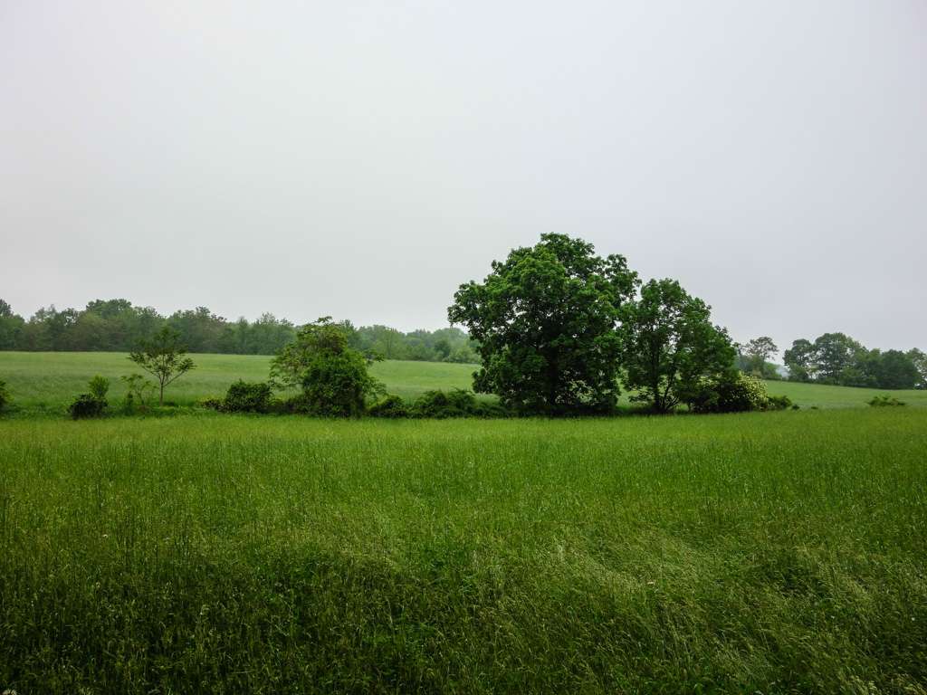 Appalachian Trail | Gemmer Rd, Wantage, NJ 07461, USA