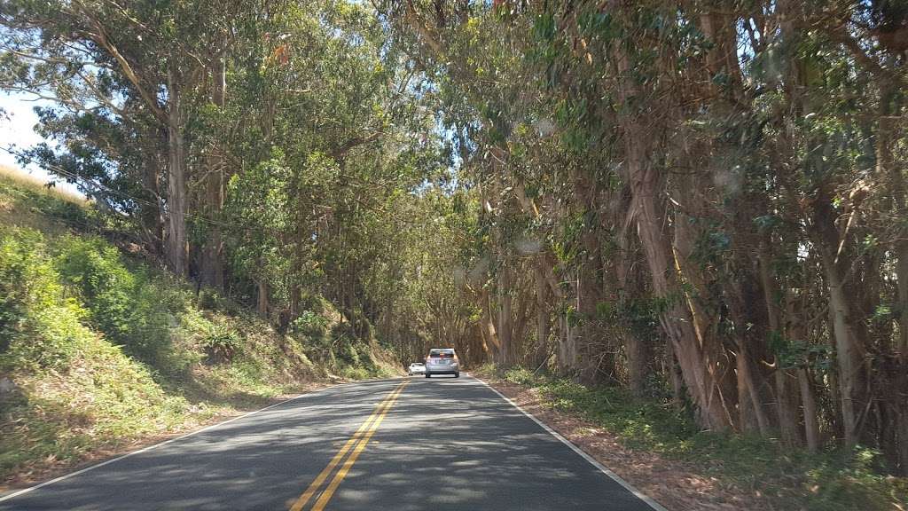 Miller Park | Tomales, CA 94971, USA