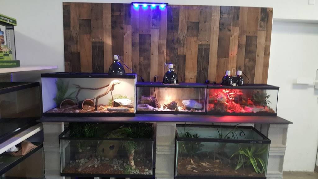 Egyptian Parrot Petshop | 1236 E 66th St, Richfield, MN 55423, USA | Phone: (952) 652-5121