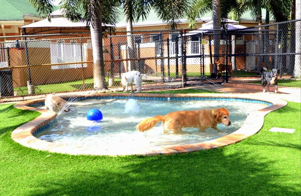 Country Inn Pet Resort & Animal Hospital | 2100 S Flamingo Rd, Fort Lauderdale, FL 33325, USA | Phone: (954) 424-6000