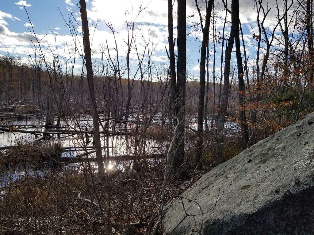 Greenbelt Hiking Trail | 60 Concord St, Gloucester, MA 01930, USA