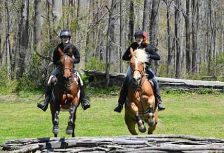 Sovereign Hill Stables | 230 Commissioners Rd, Mullica Hill, NJ 08062, USA | Phone: (856) 472-8035
