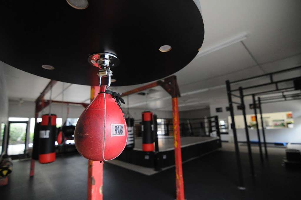 Maxwells Boxing | 7090 Miramar Rd #103, San Diego, CA 92121, USA | Phone: (858) 214-9486