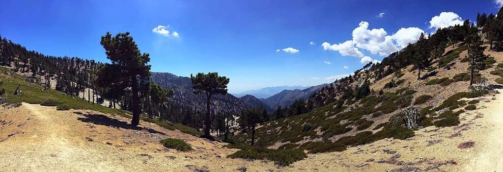 Japanese Saddle | Ice House Canyon Trail, Mt Baldy, CA 91759