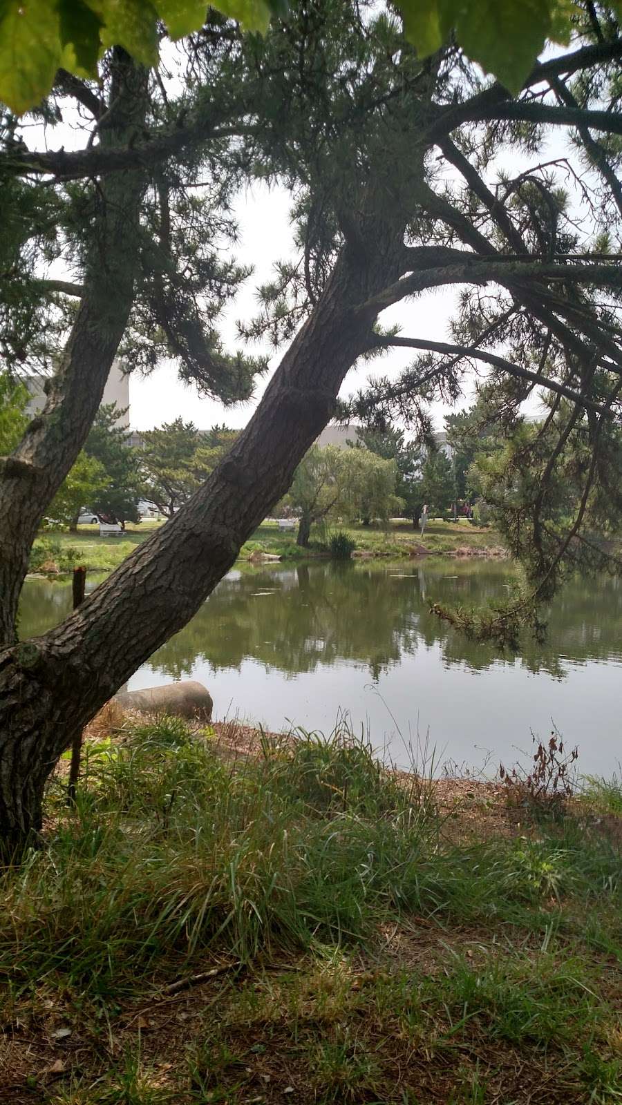 Lake Gerar Park | Rehoboth Beach, DE 19971, USA