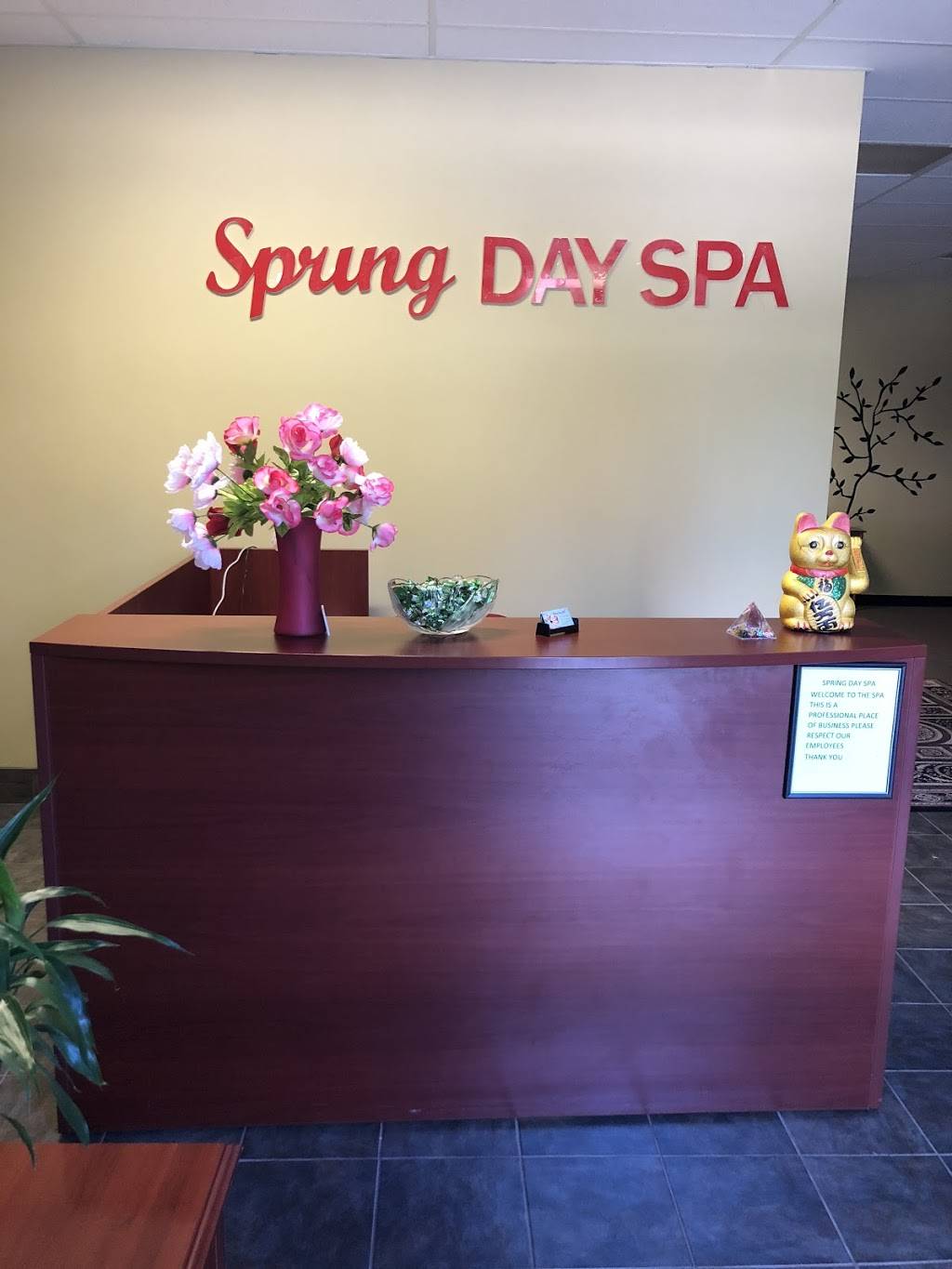 Chesapeake Spa | 1484 Kempsville Rd, Chesapeake, VA 23320, USA | Phone: (757) 351-5154