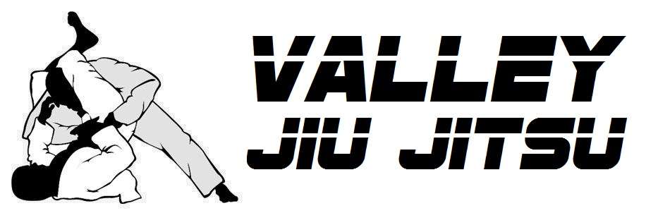 Valley Jiu Jitsu | 7562 Penn Dr #160, Allentown, PA 18106, USA | Phone: (484) 714-0404