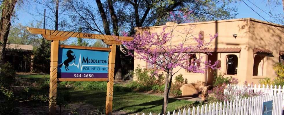 Meddleton Equine Clinic | 6165 Corrales Rd, Corrales, NM 87048, USA | Phone: (505) 344-2680