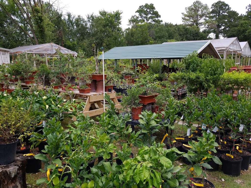 Fairbanks Garden Center | 9706 Fairbanks North Houston Rd, Houston, TX 77064, USA | Phone: (832) 286-5924