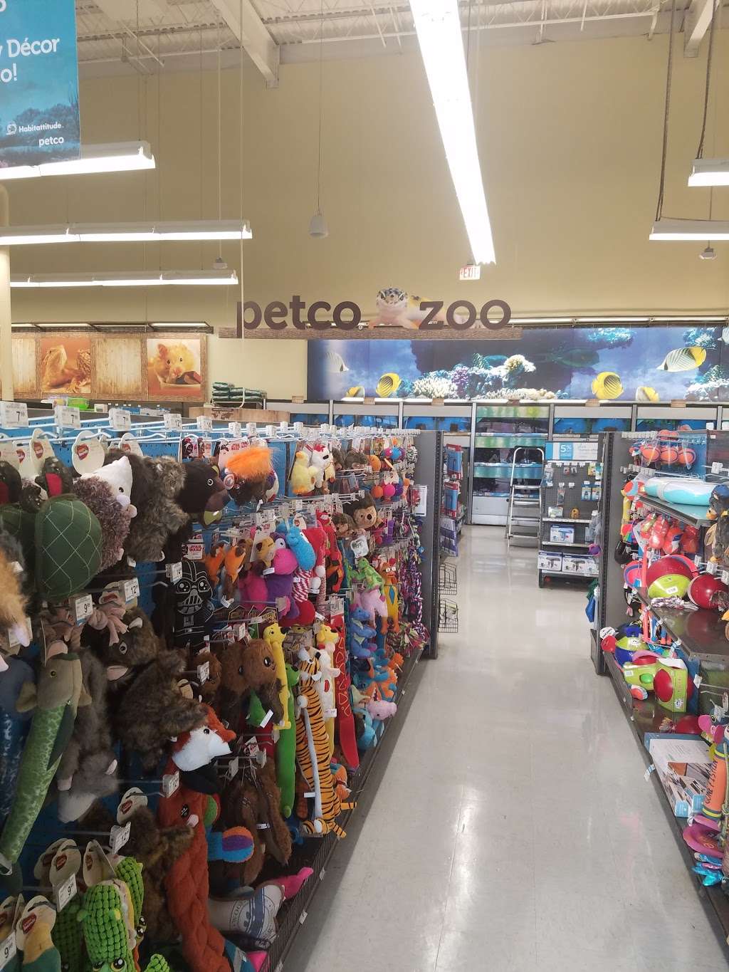 petco near kings plaza