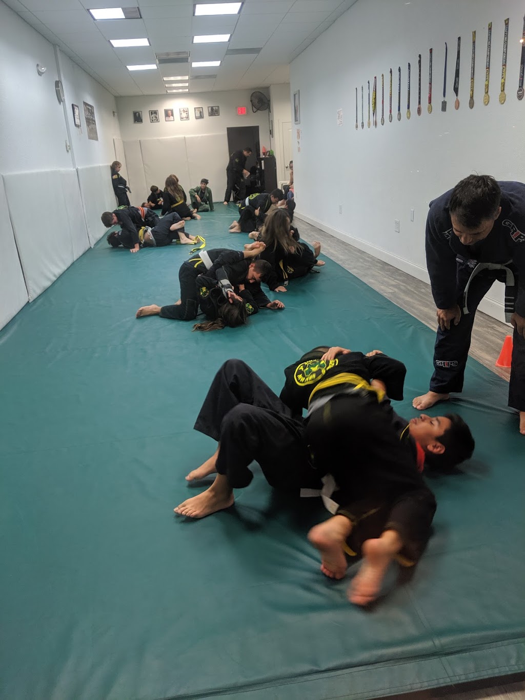 JP Jiu-Jitsu Academy | 9568 SW 137th Ave, Miami, FL 33186, USA | Phone: (786) 353-2205