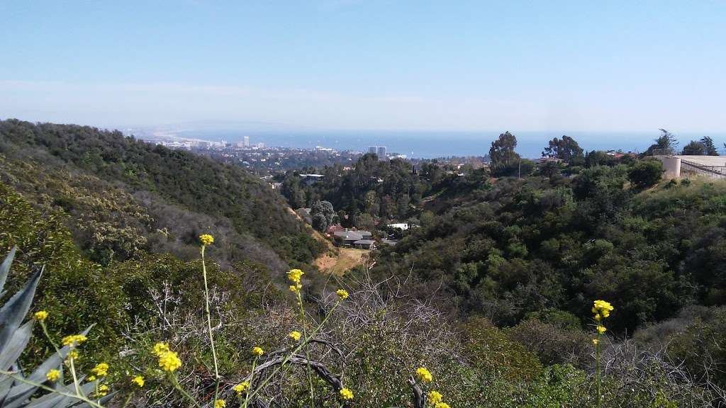 Rivas Canyon Park | Pacific Palisades, CA 90272