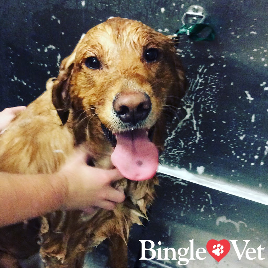 Bingle Vet Katy | 5215 FM 1463 #400, Katy, TX 77494, USA | Phone: (713) 468-3688