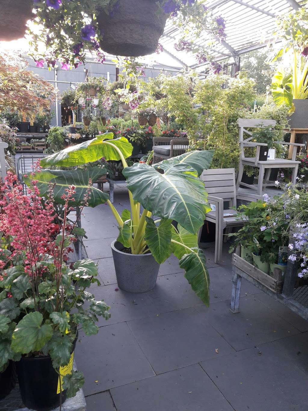 Pound Ridge Nurseries Inc | 6 Pound Ridge Rd, Pound Ridge, NY 10576, USA | Phone: (914) 764-5781